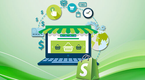 Custom Shopify Store Development